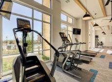 Stair Climber and Treadmill