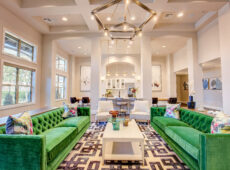 Seating Area with bright green couches