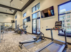 Treadmill and Row Machine Gym